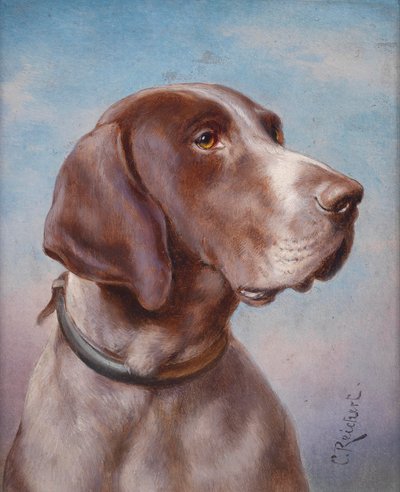 Dog Portrait by Karl Reichert