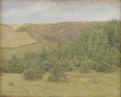 Svanninge Hills, Funen by Karl Schou