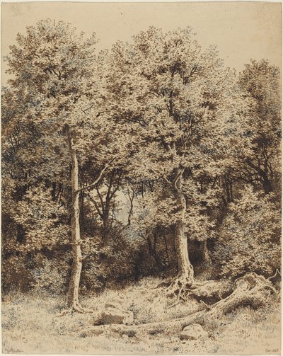 A Copse of Trees by Karl Theodor Reiffenstein