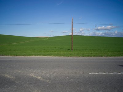 Isolated 2020 by Katha Wood