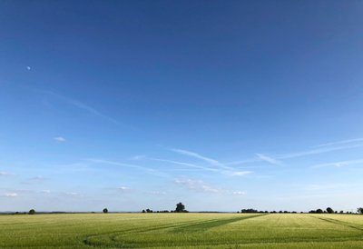 Summer Crop 2018 by Katha Wood
