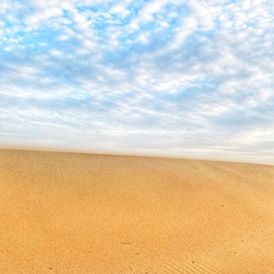 Surreal Desert Beach by Katha Wood