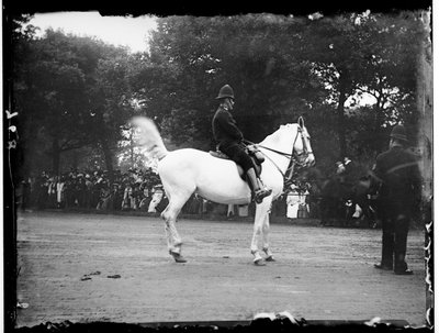 Hyde Park, City Of Westminster, London by Katherine Jean Macfee