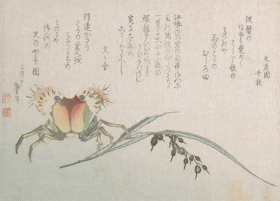 Crab and Rice Plant, 19th century by Katsushika Hokusai