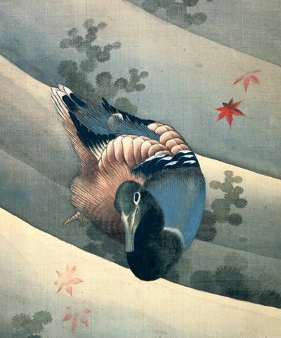 Duck Swimming in Water by Katsushika Hokusai