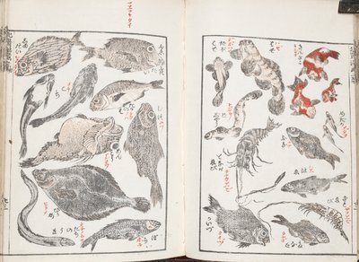 Fish and sea creatures by Katsushika Hokusai