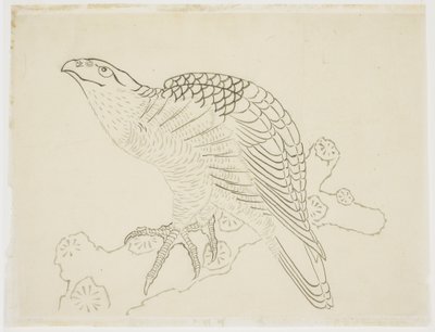 Hawk on a Branch (study) by Katsushika Hokusai