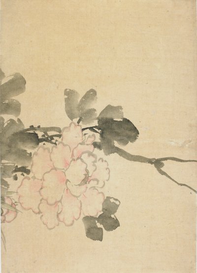 Peony, late 18th-early 19th century by Katsushika Hokusai