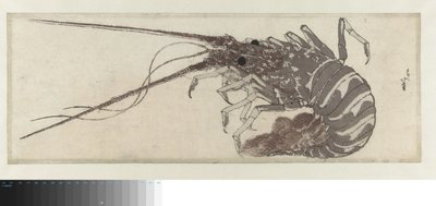 The Lobster by Katsushika Hokusai