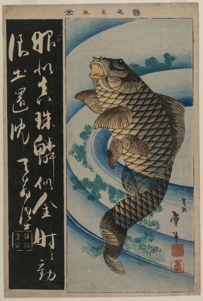 Carp and Waterweeds by Katsushika Taito II