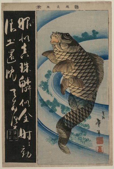 Carp and Waterweeds, c. early 1830s by Katsushika Taito II