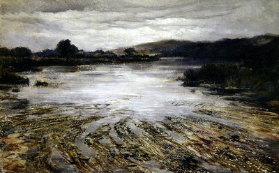 River Weed by Keeley Halswelle