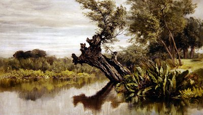 The Willow Tree by Keeley Halswelle