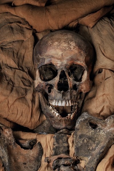 Mummy of King Tut