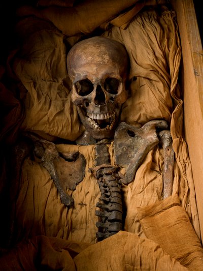 Mummy of King Tut