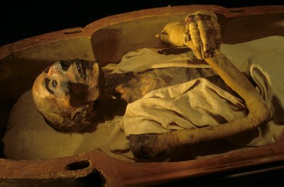 Mummy of Ramses II by Kenneth Garrett