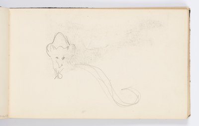 Sketchbook Page: Sketch of a Genet by Kenyon Cox