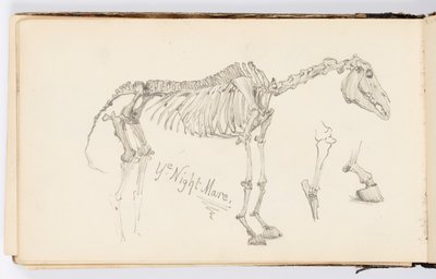 Sketchbook Page: Ye Night Mare by Kenyon Cox