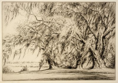 Oaks and Moss by Kerr Eby