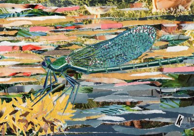 Green Dragonfly by Kirstie Adamson