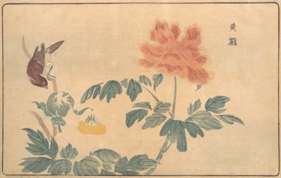 Chinese Oriole and Peonies by Kitao Masayoshi