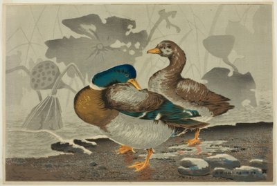 A Pair of Ducks at a Lotus Pond by Kiyochika Kobayashi