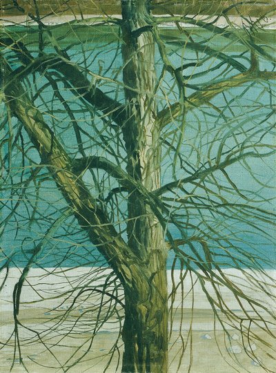 Tree Study on the Danube by Klemens Brosch
