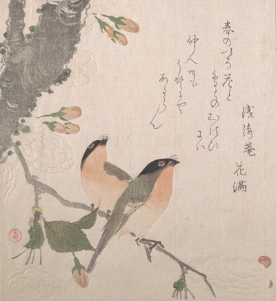 Bullfinches and Cherry Blossoms by Kubo Shunman