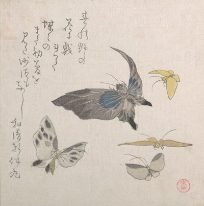 Butterflies, 19th century by Kubo Shunman