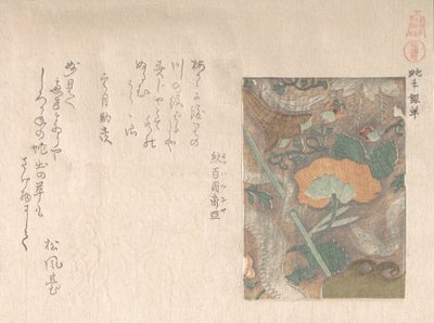Designs of Imported Leathers, 19th century by Kubo Shunman