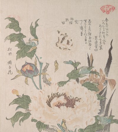 Peonies and Iris by Kubo Shunman