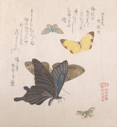 Various moths and butterflies by Kubo Shunman