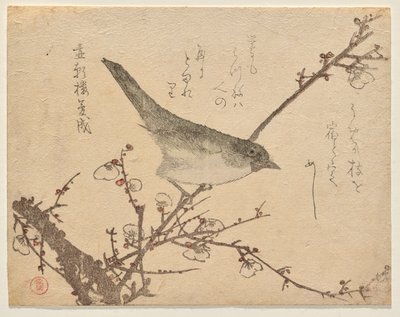 Warbler on Plum Branch by Kubo Shunman