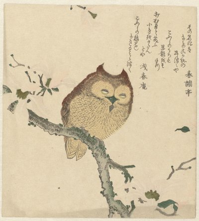 Owl on a Magnolia Branch by Kubota Shunman