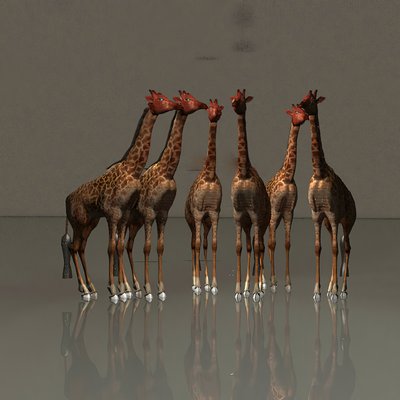 Giraffes in Harmony by Kurt Heppke