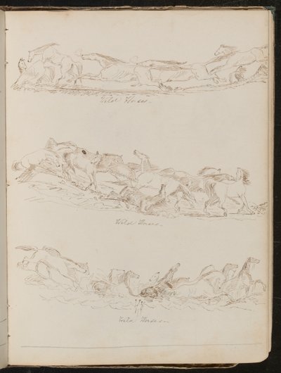 Three Studies of Horses Galloping Freely by Lady Butler