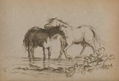Horses by Lady Diana Spencer