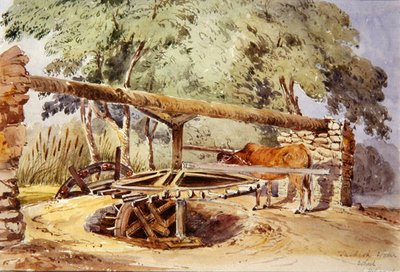 Turkish Water Wheel, Heliopolis by Lady Louisa Tennyson