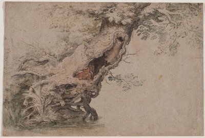 Hollow Tree, after Roelant Savery by Lambert Doomer