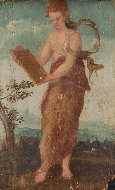 Woman with Text Panel by Lambert Sustris (circle of)
