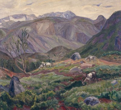 From Leirungsdalen by Lars Jorde