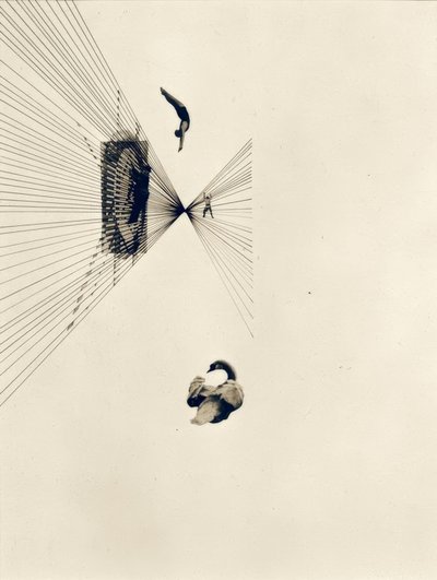 Leda and the Swan by Laszlo Moholy Nagy