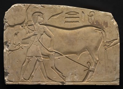 Men Trussing an Ox, 667-647 BC by Late Period Egyptian