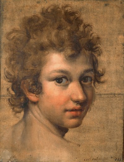 Portrait of a Boy by Lavinia Fontana