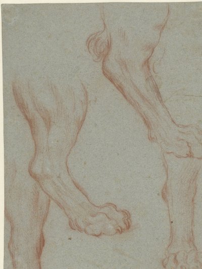 Study Sheet with Two Lion Paws by Leandro Bassano