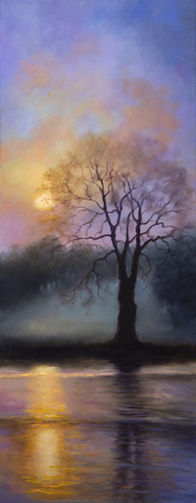 Bushy Park Dusk by Lee Campbell