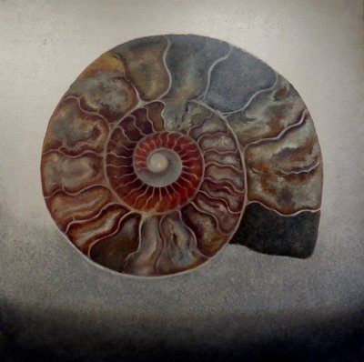 Silver Ammonite by Lee Campbell