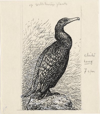 Cormorant by Leo Gestel