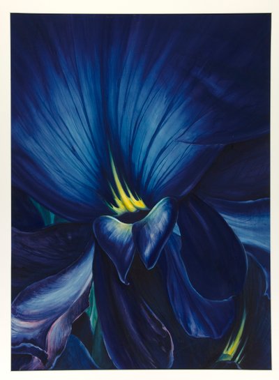 Chinese Delphinium by Leon Carroll