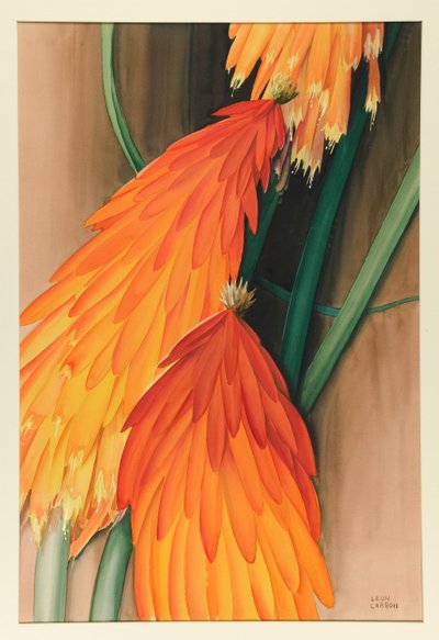 Skyrocket (Red Hot Poker) by Leon Carroll